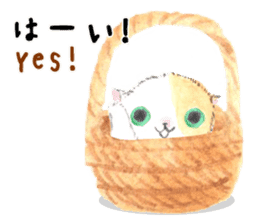 Three kittens of the watercolor sticker #13582769