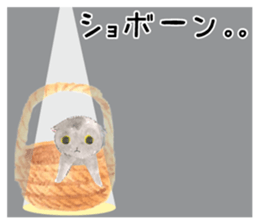 Three kittens of the watercolor sticker #13582794