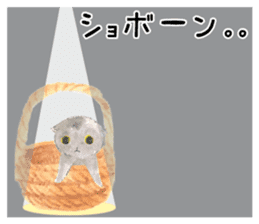 Three kittens of the watercolor sticker #13582794