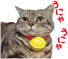 Scottish hold "melon-chan" sticker #13583009