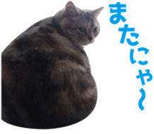 Scottish hold "melon-chan" sticker #13583020