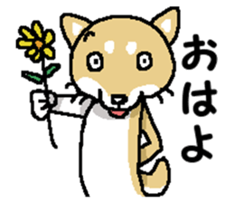Mr. Shiba 5 ( Greeting ) sticker #13583146