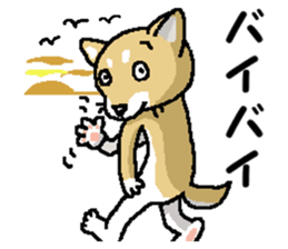 Mr. Shiba 5 ( Greeting ) sticker #13583147