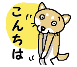 Mr. Shiba 5 ( Greeting ) sticker #13583148
