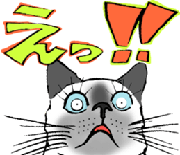 Cats only sticker sticker #13583268