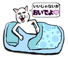 Cats only sticker sticker #13583287