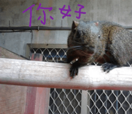 Mei Ying landscape photos sticker #13583591