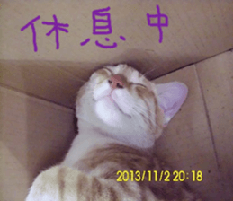 Mei Ying landscape photos sticker #13583592