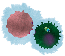 Amoeba's working days sticker #13583774