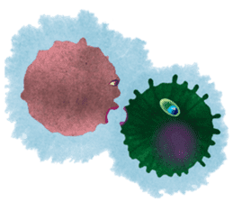 Amoeba's working days sticker #13583774