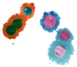 Amoeba's working days sticker #13583784