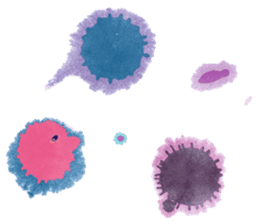 Amoeba's working days sticker #13583788