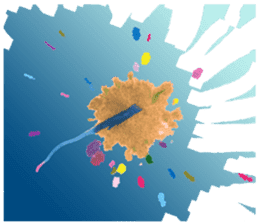 Amoeba's working days sticker #13583791