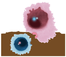 Amoeba's working days sticker #13583794