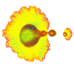 Amoeba's working days sticker #13583801