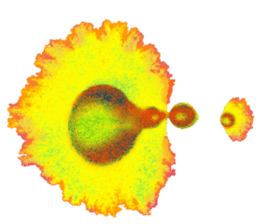 Amoeba's working days sticker #13583801