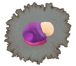 Amoeba's working days sticker #13583804