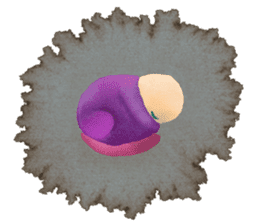 Amoeba's working days sticker #13583804