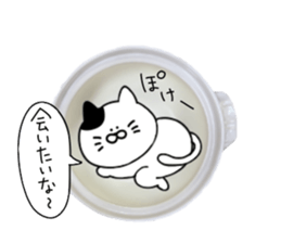 Cat went into the pot sticker #13583819