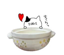 Cat went into the pot sticker #13583822