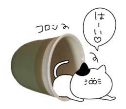 Cat went into the pot sticker #13583823