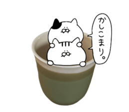 Cat went into the pot sticker #13583825