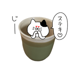 Cat went into the pot sticker #13583826