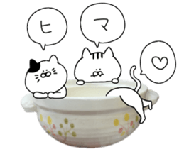 Cat went into the pot sticker #13583828