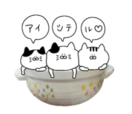 Cat went into the pot sticker #13583829