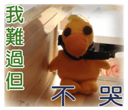 Little YAYA-K3 sticker #13584809