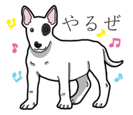 Daily Bull terrier sticker #13584822