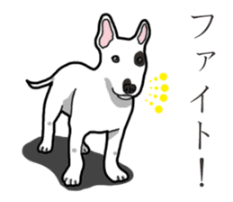 Daily Bull terrier sticker #13584823