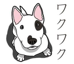 Daily Bull terrier sticker #13584825
