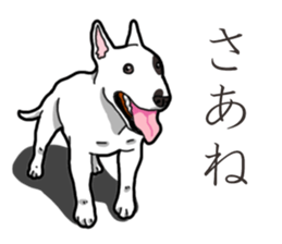 Daily Bull terrier sticker #13584827