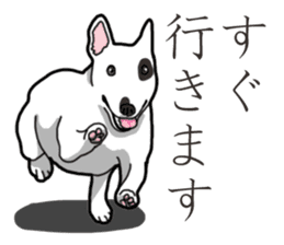 Daily Bull terrier sticker #13584828