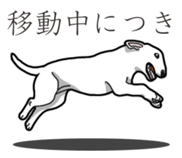 Daily Bull terrier sticker #13584831