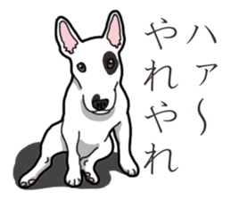 Daily Bull terrier sticker #13584832