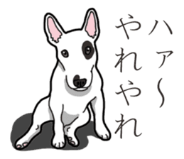 Daily Bull terrier sticker #13584832