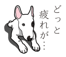 Daily Bull terrier sticker #13584833