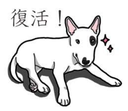 Daily Bull terrier sticker #13584834