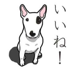 Daily Bull terrier sticker #13584835