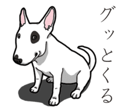 Daily Bull terrier sticker #13584836