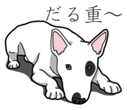 Daily Bull terrier sticker #13584842