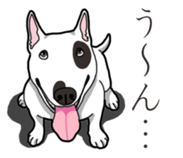 Daily Bull terrier sticker #13584843