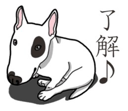 Daily Bull terrier sticker #13584844