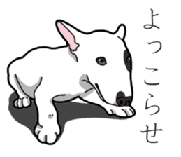 Daily Bull terrier sticker #13584845