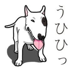 Daily Bull terrier sticker #13584846