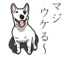 Daily Bull terrier sticker #13584847