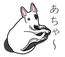 Daily Bull terrier sticker #13584848