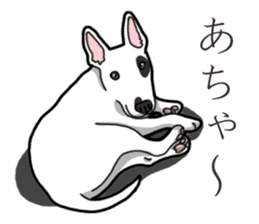 Daily Bull terrier sticker #13584848